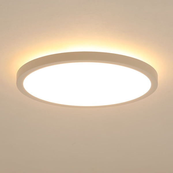 11.8 Inch Flush Mount Ceiling Light, 20W LED+Nightlight Ceiling Light Fixture for Kitchen Bedroom Living Room